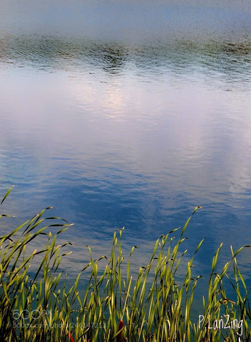 Olympus E-3 sample photo. Napa lake meditation photography