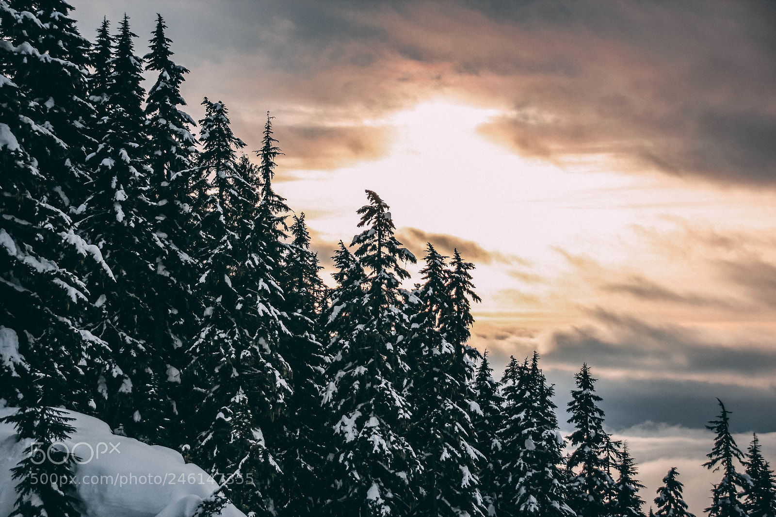 Canon EOS 600D (Rebel EOS T3i / EOS Kiss X5) sample photo. Sunset on whistler blackcomb photography