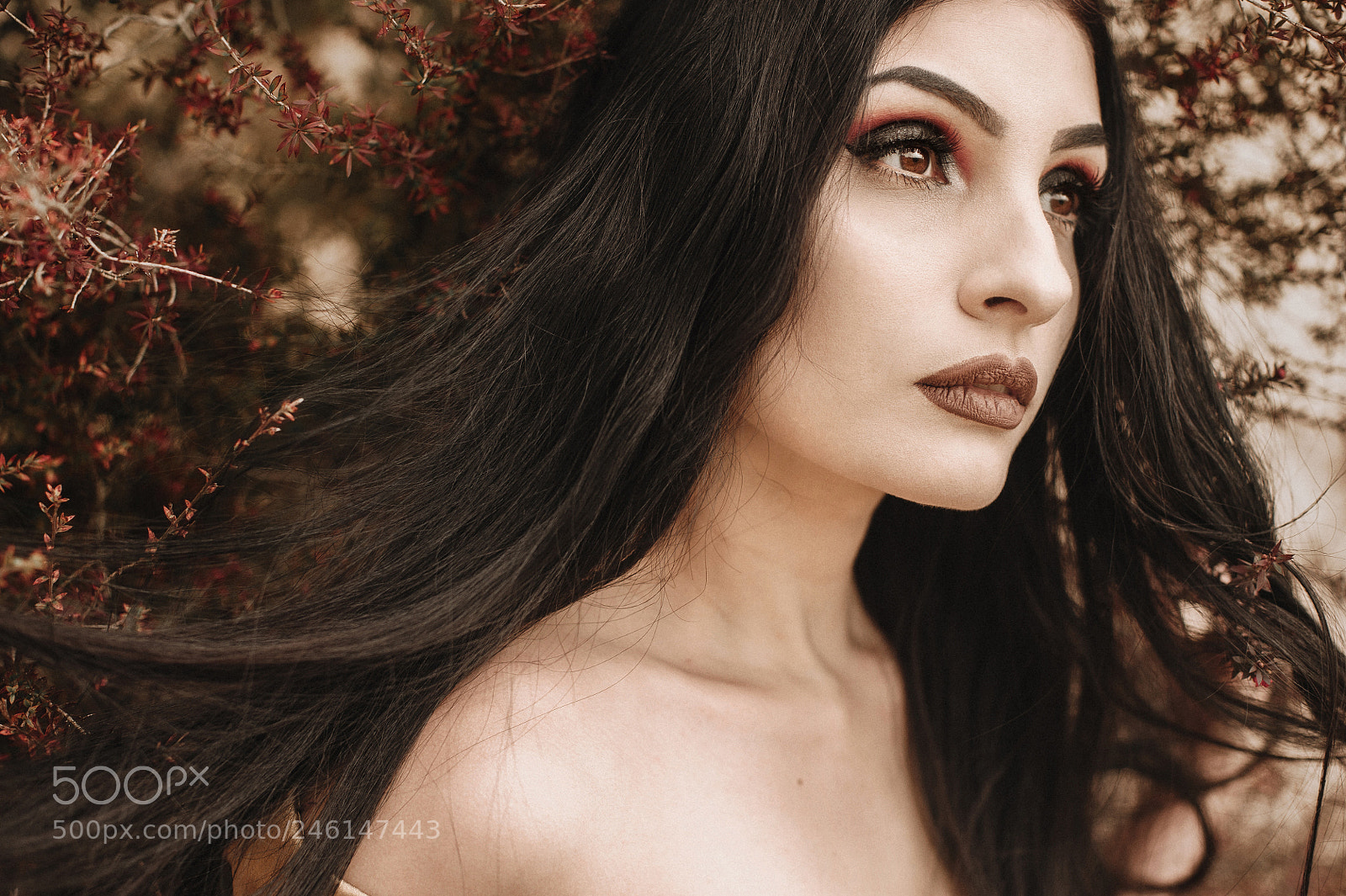 Nikon D700 sample photo. Oriana photography