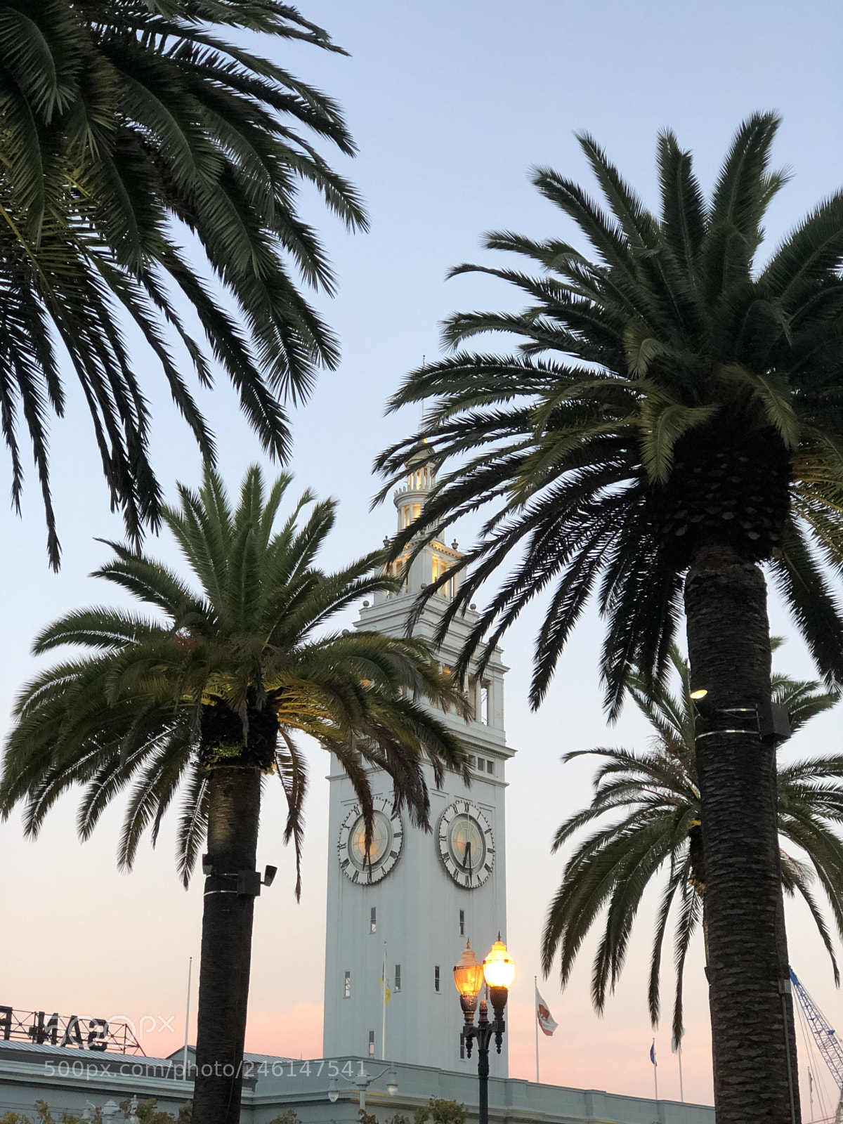 Apple iPhone 8 Plus sample photo. Ferry building photography