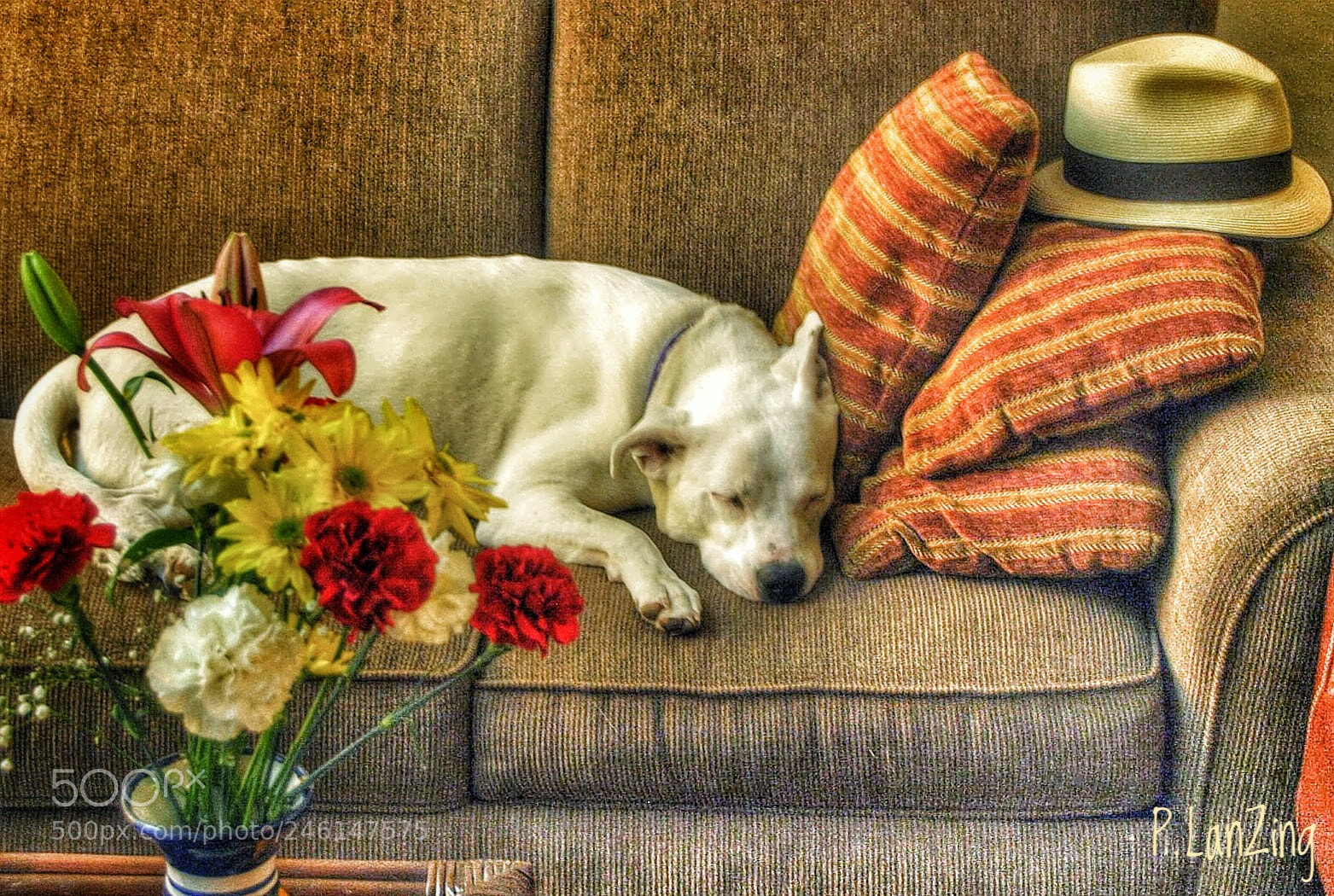 Olympus E-3 sample photo. Her suite, carmel, california photography