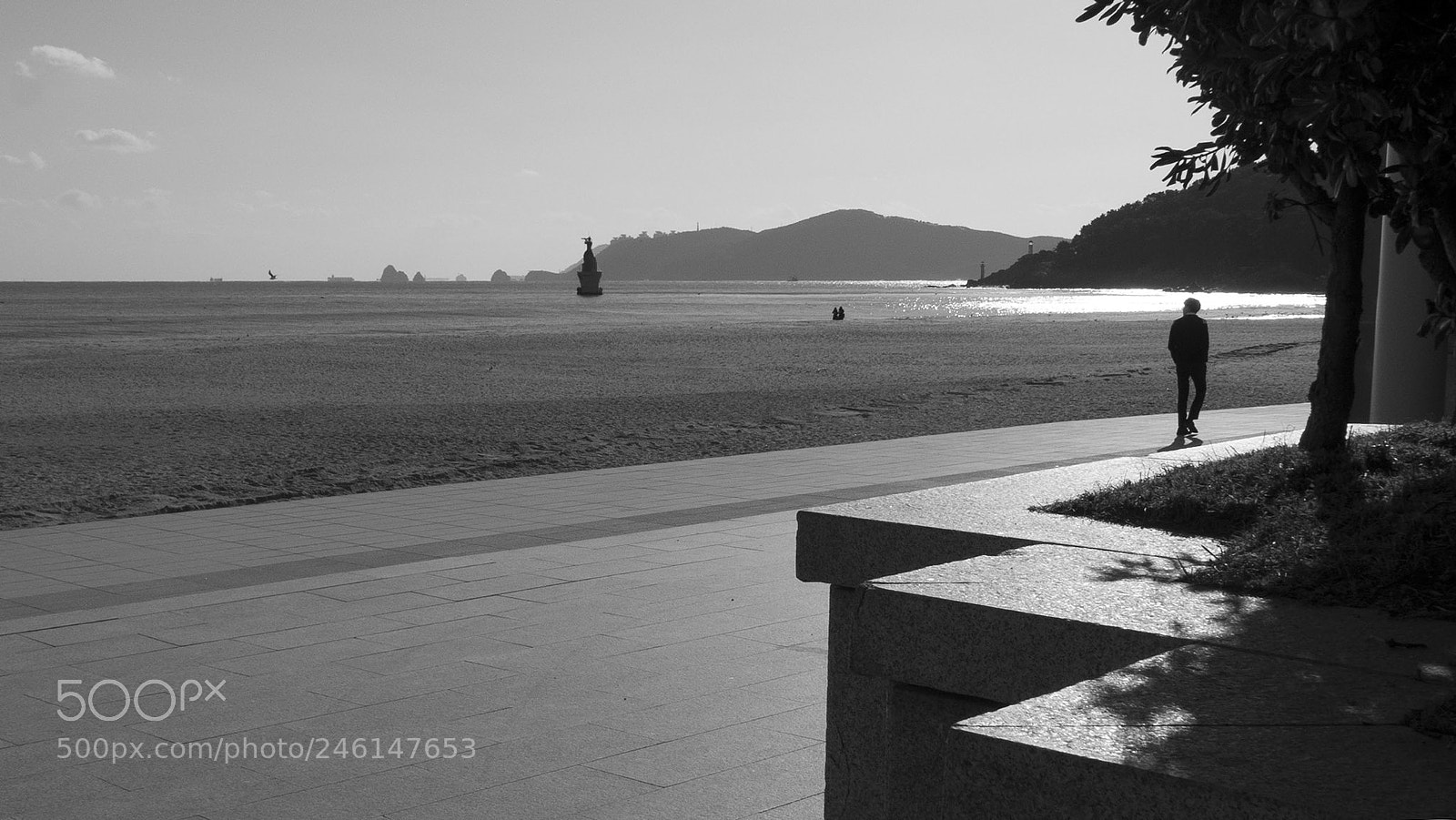 Leica D-Lux (Typ 109) sample photo. Winter beach, haeundae photography