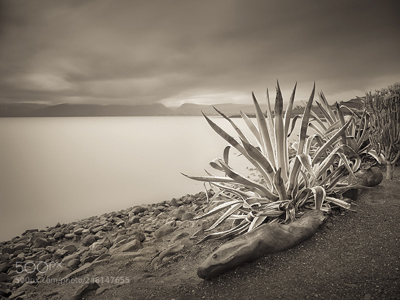 Hasselblad X1D-50c sample photo. Sea of galilee photography