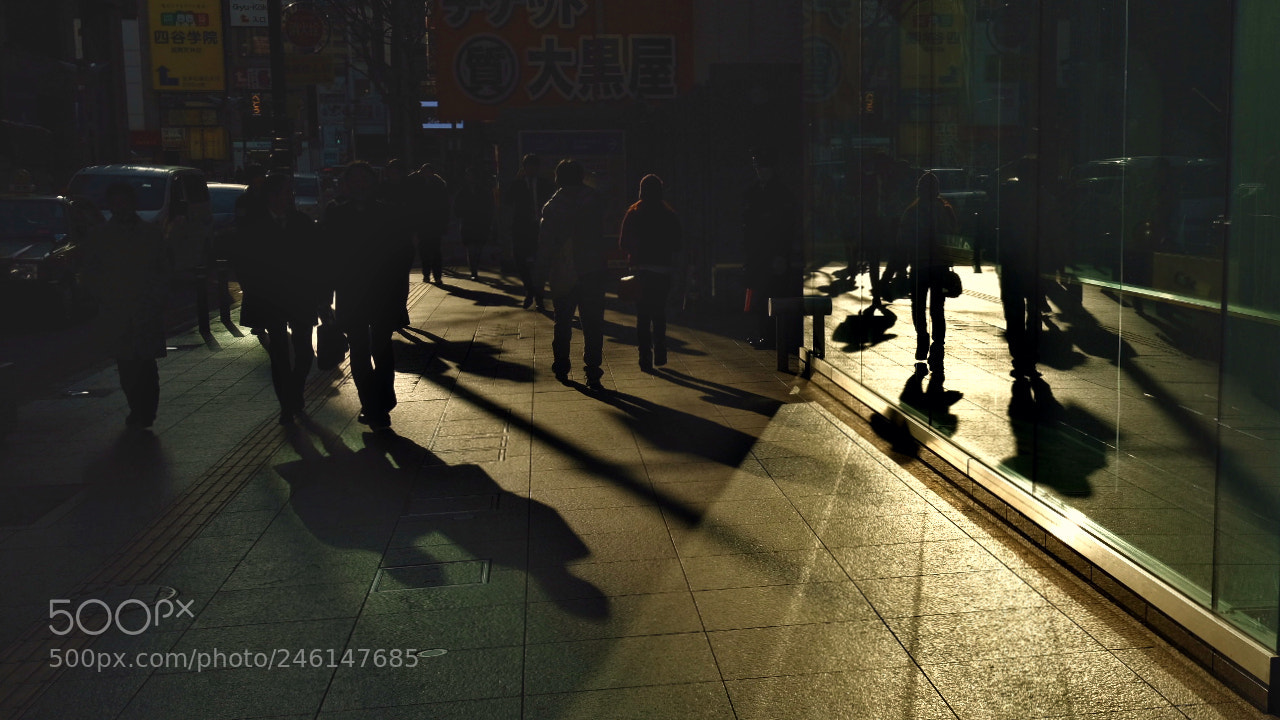 Fujifilm X-T2 sample photo. Untitled photography