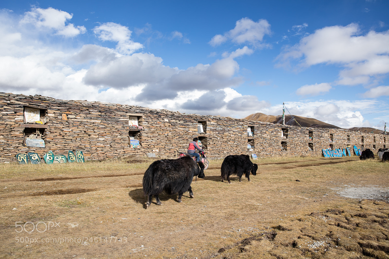 Canon EOS 5DS R sample photo. Bage  mani photography