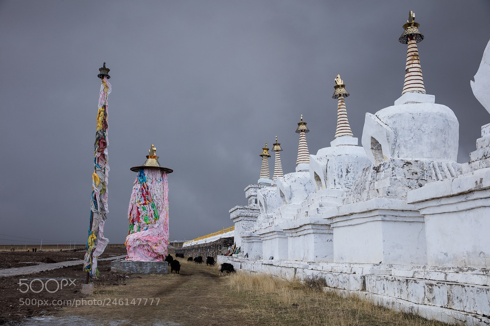 Canon EOS 5DS R sample photo. Bage  mani photography
