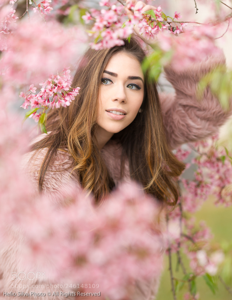 Sony Alpha DSLR-A850 sample photo. Andria dos reis photography