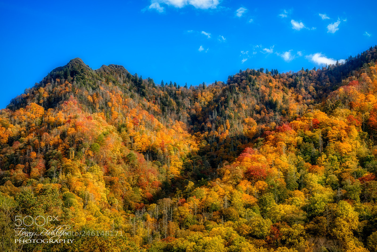 Nikon D810 sample photo. Chimney tops memory photography