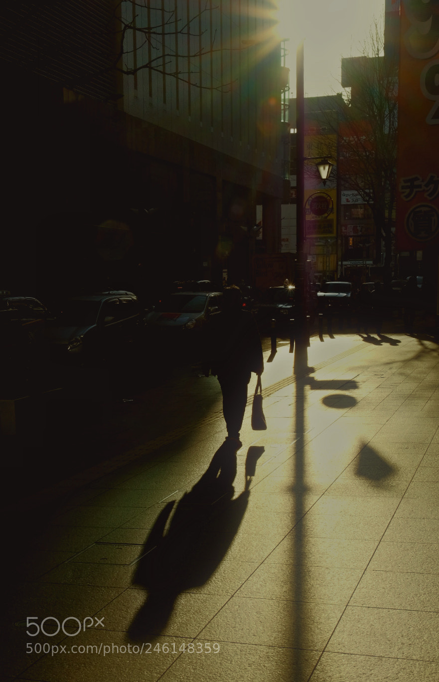 Fujifilm X-T2 sample photo. Untitled photography