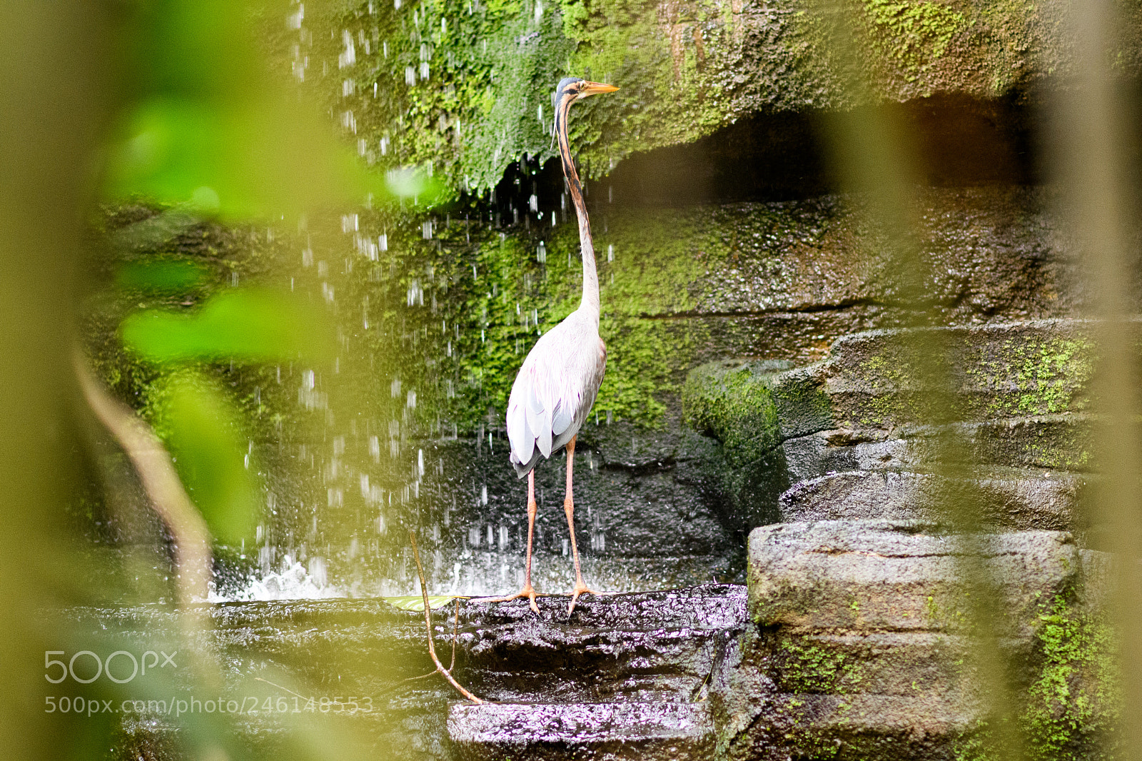 Nikon D7500 sample photo. Washing photography