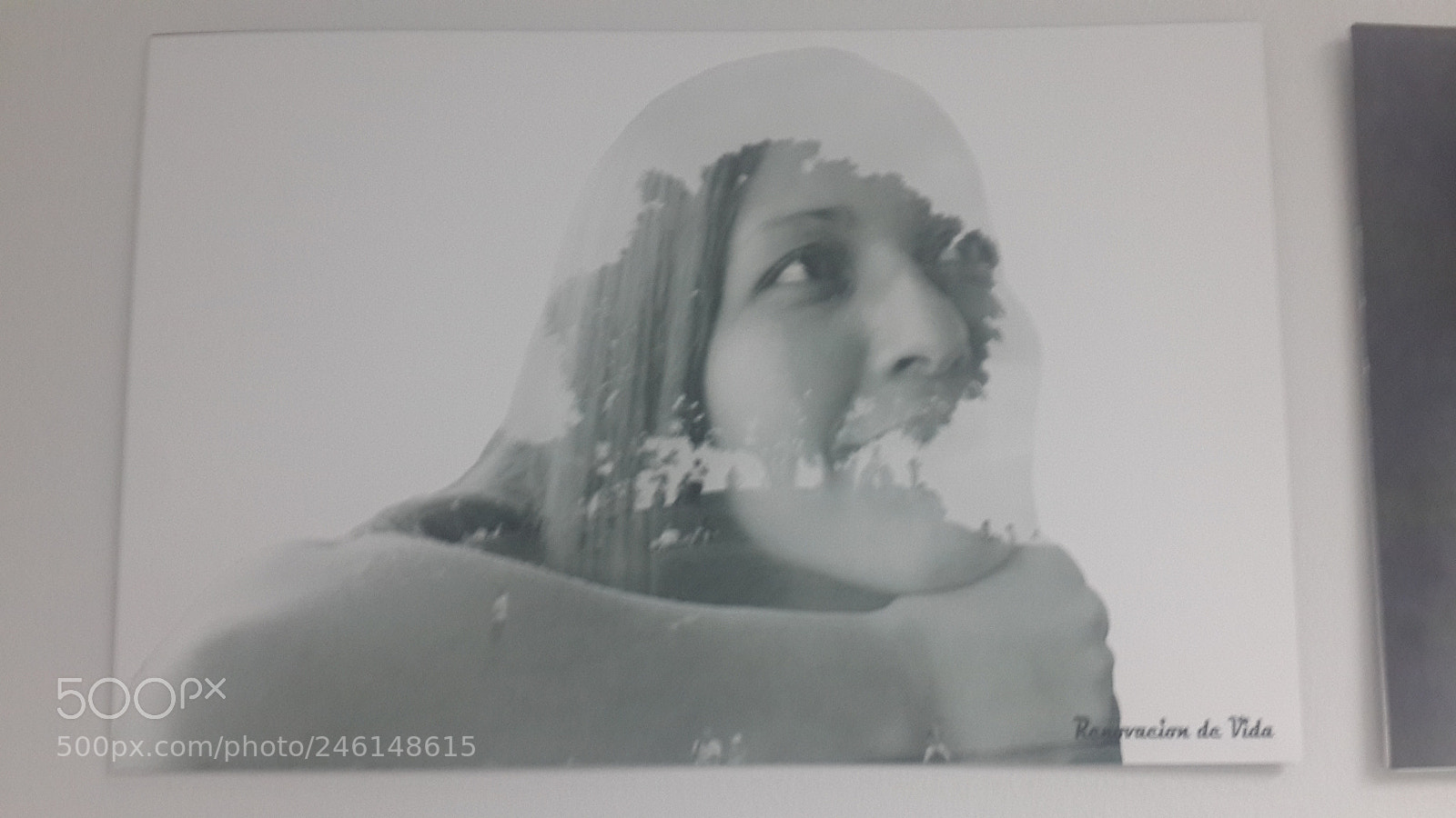 Samsung Galaxy S4 sample photo. Untitled photography