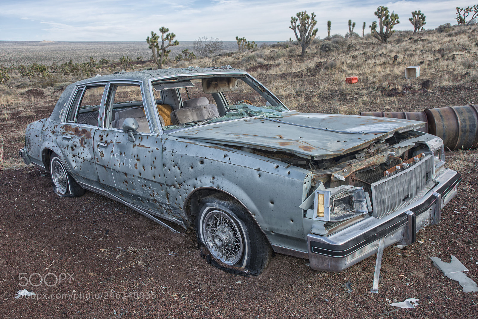 Nikon D800 sample photo. Buick photography