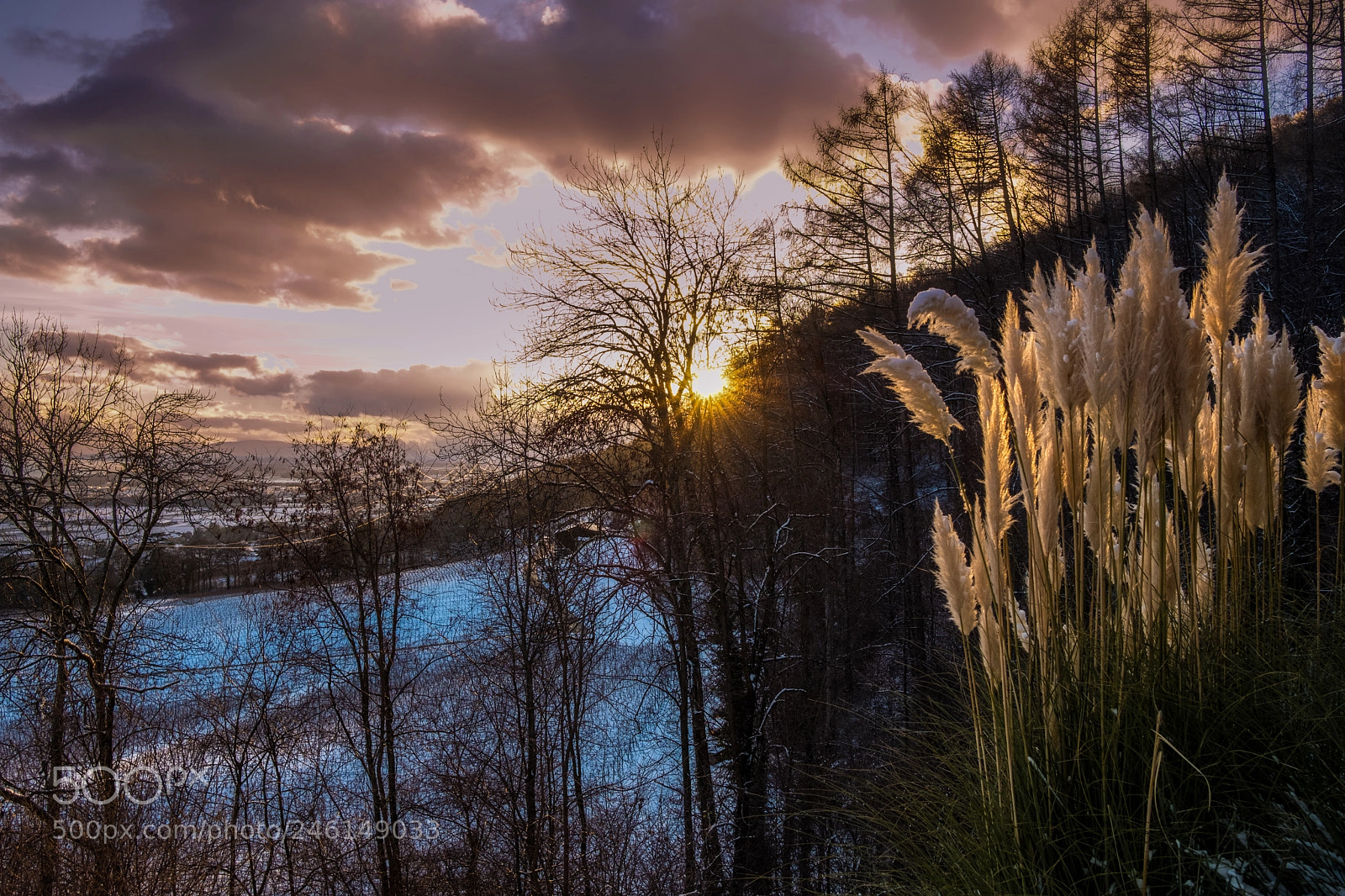 Fujifilm X-Pro2 sample photo. Couché de soleil gilly photography