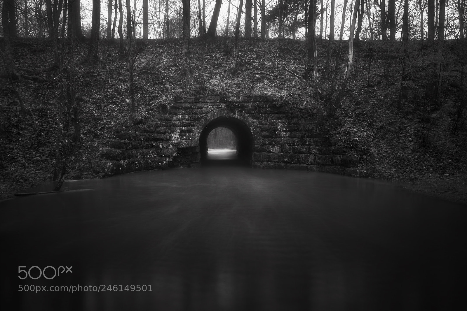 Sony a7R II sample photo. Ross bridge photography