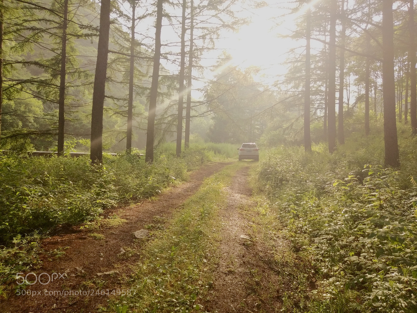 Xiaomi MI 5s sample photo. Untitled photography