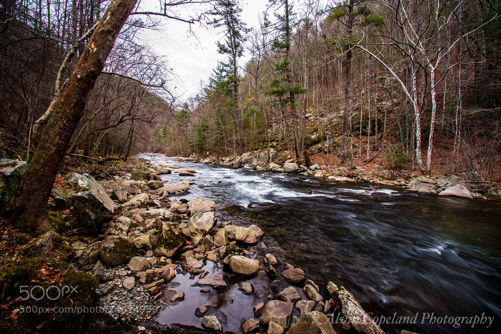 Nikon D7200 sample photo. Walk along the river photography