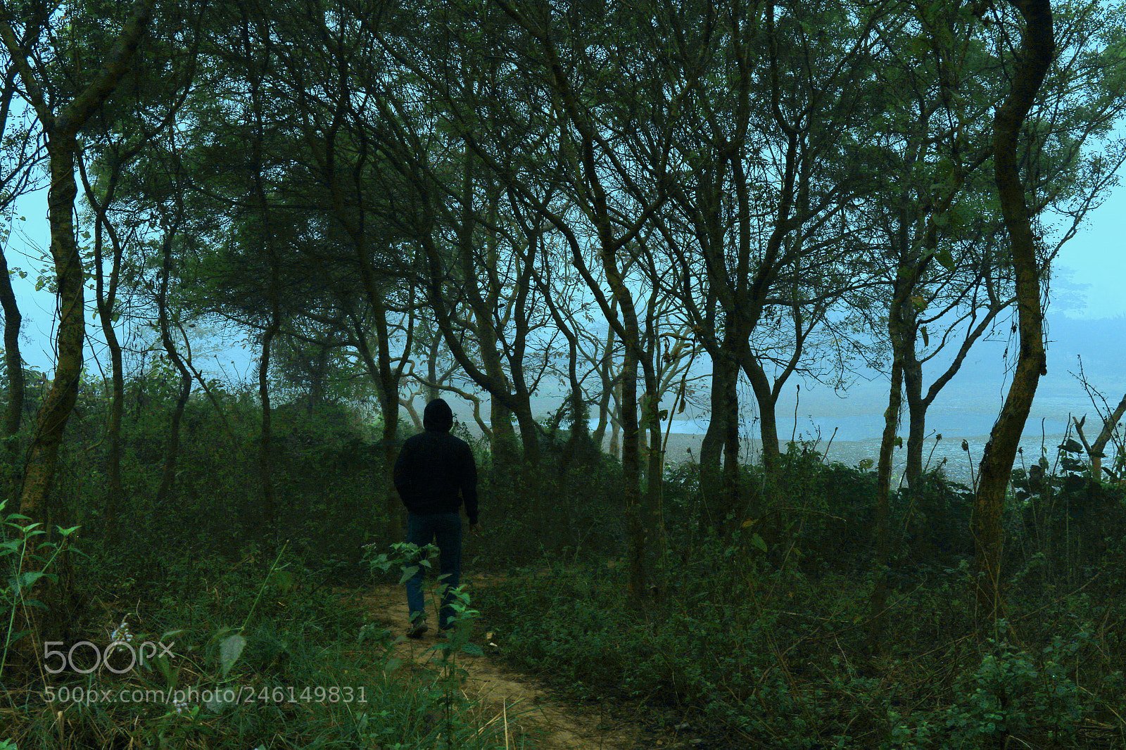 Canon EOS 7D Mark II sample photo. Lonly man photography