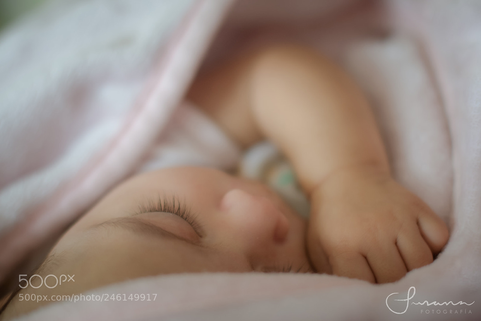Nikon D7500 sample photo. Sleeping in pink photography