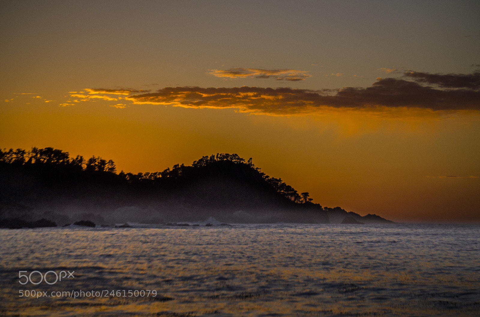 Nikon D5100 sample photo. Carmel by the sea photography