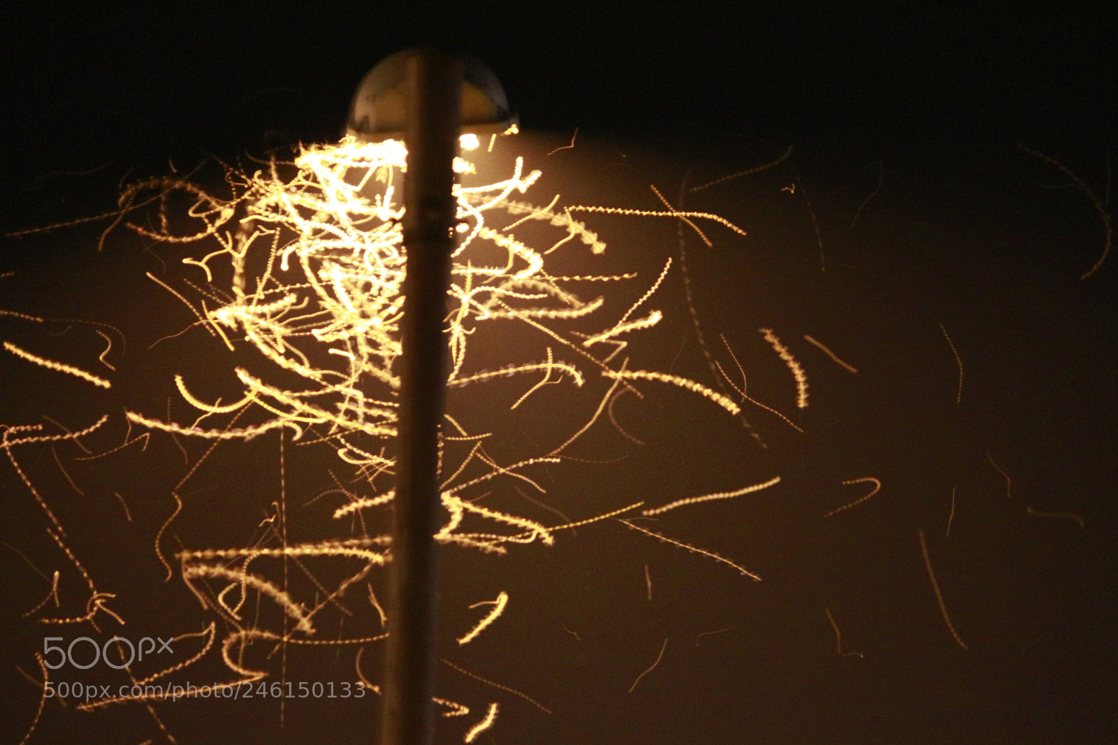 Canon EF-S 55-250mm F4-5.6 IS II sample photo. Street lamp firework photography