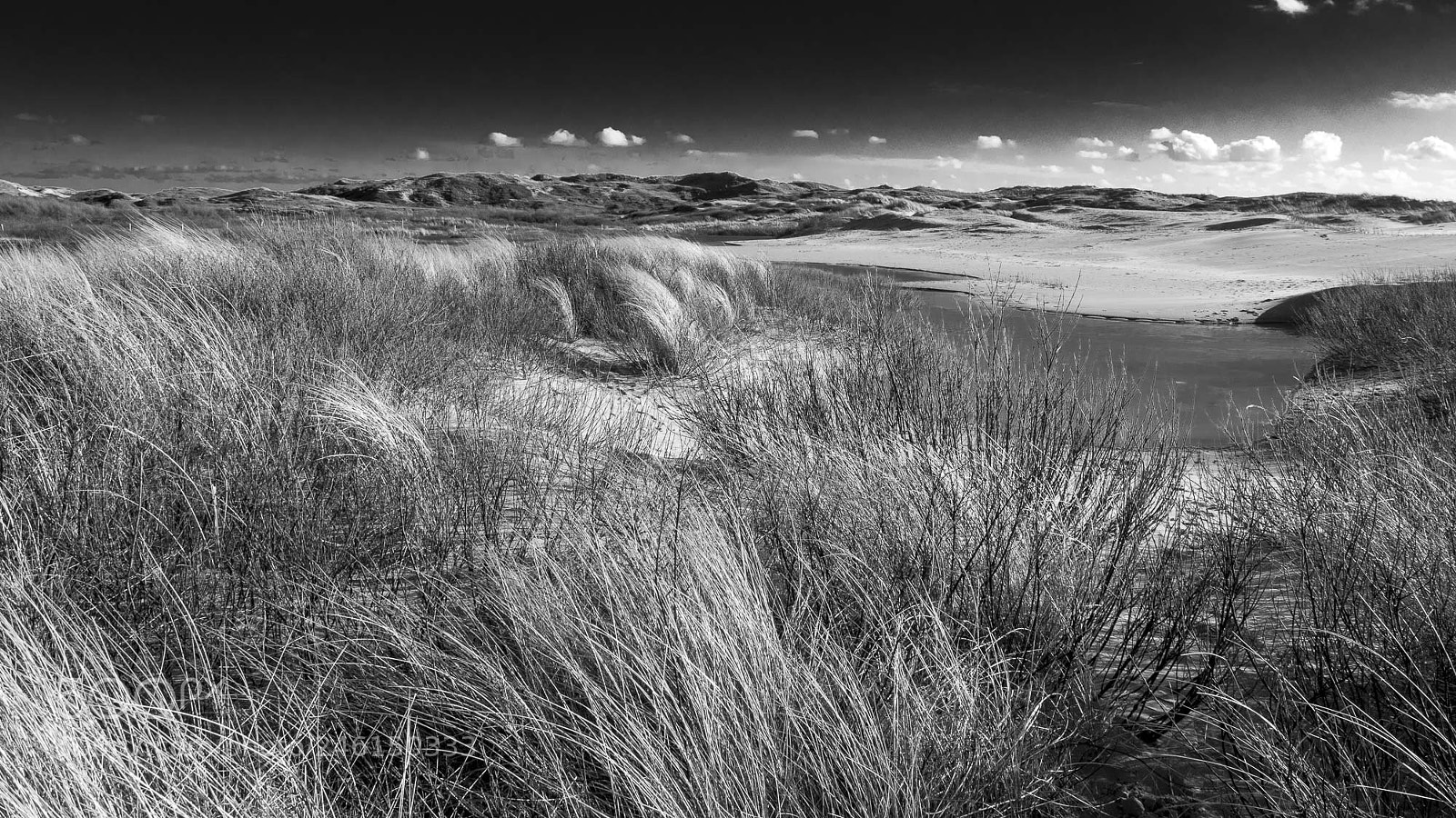 Olympus OM-D E-M5 II sample photo. Dune landscape photography