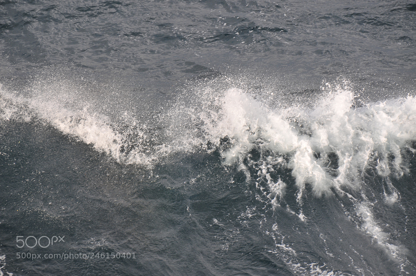 Nikon D300 sample photo. Intermittent mellowing of a photography