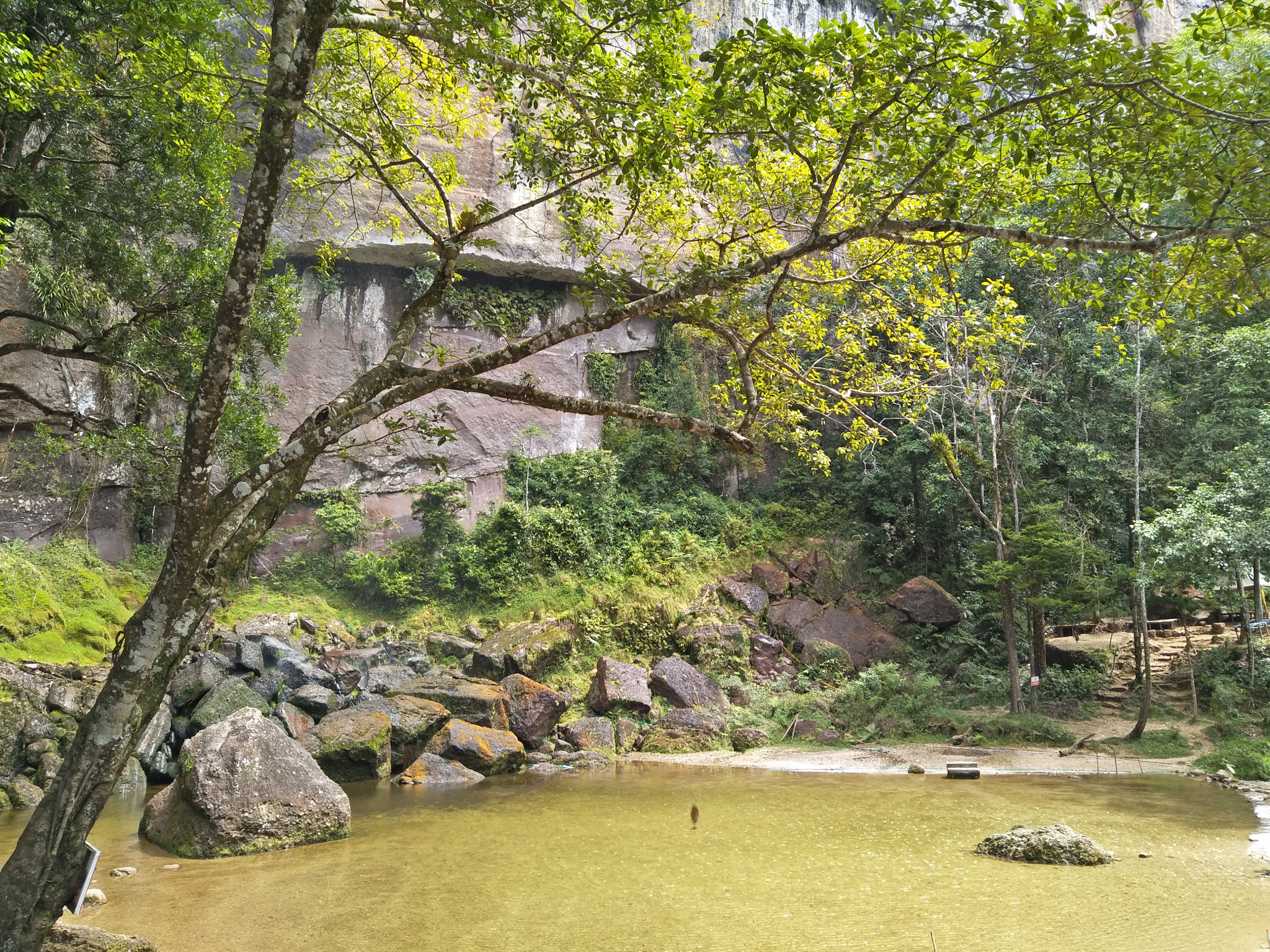OPPO CPH1701 sample photo. Nothing more beautiful than a stunning green landscape. photography