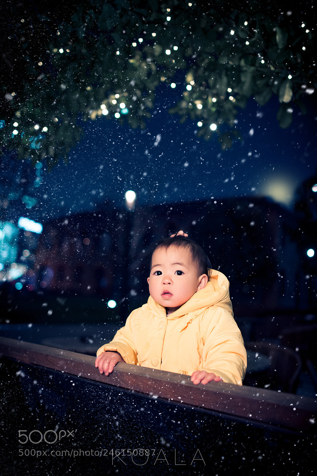 Nikon D4 sample photo. 雪夜 photography