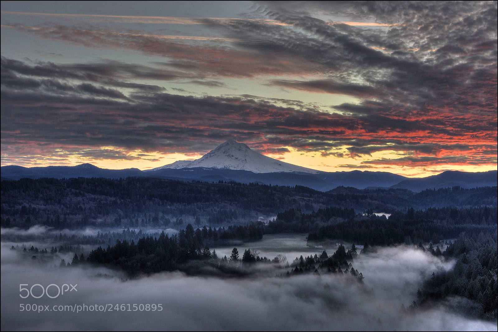 Nikon D7200 sample photo. Predawn view of mount photography