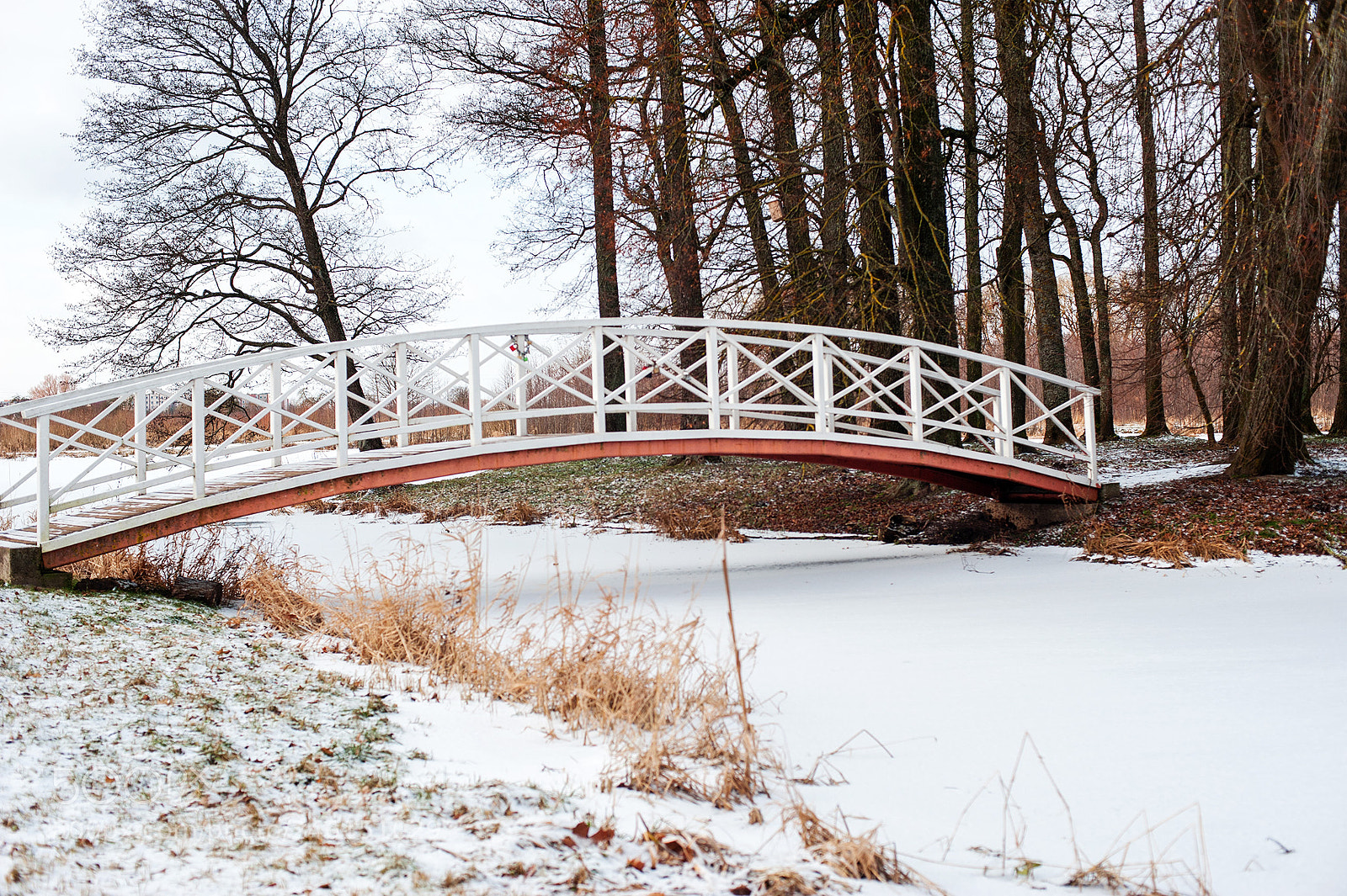 Nikon D3 sample photo. Pedestrian bridge photography