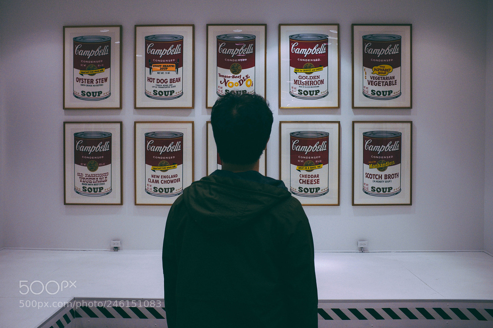 Fujifilm X100S sample photo. Andy warhol photography