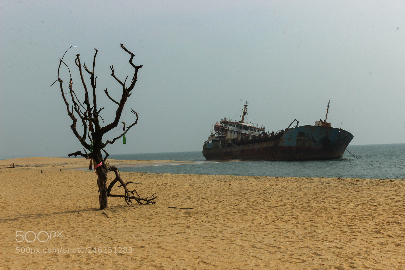 Canon EOS 600D (Rebel EOS T3i / EOS Kiss X5) sample photo. Dredger n beach against photography