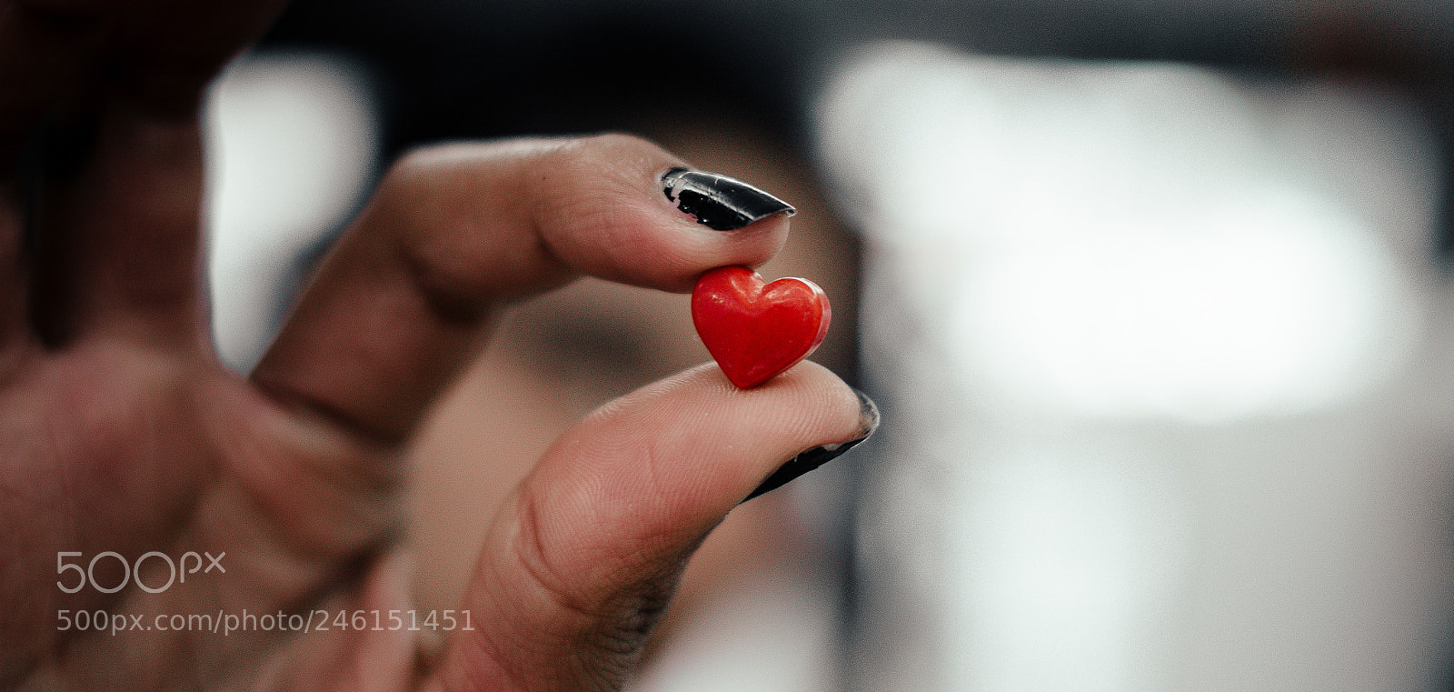 Nikon D5100 sample photo. You love photography