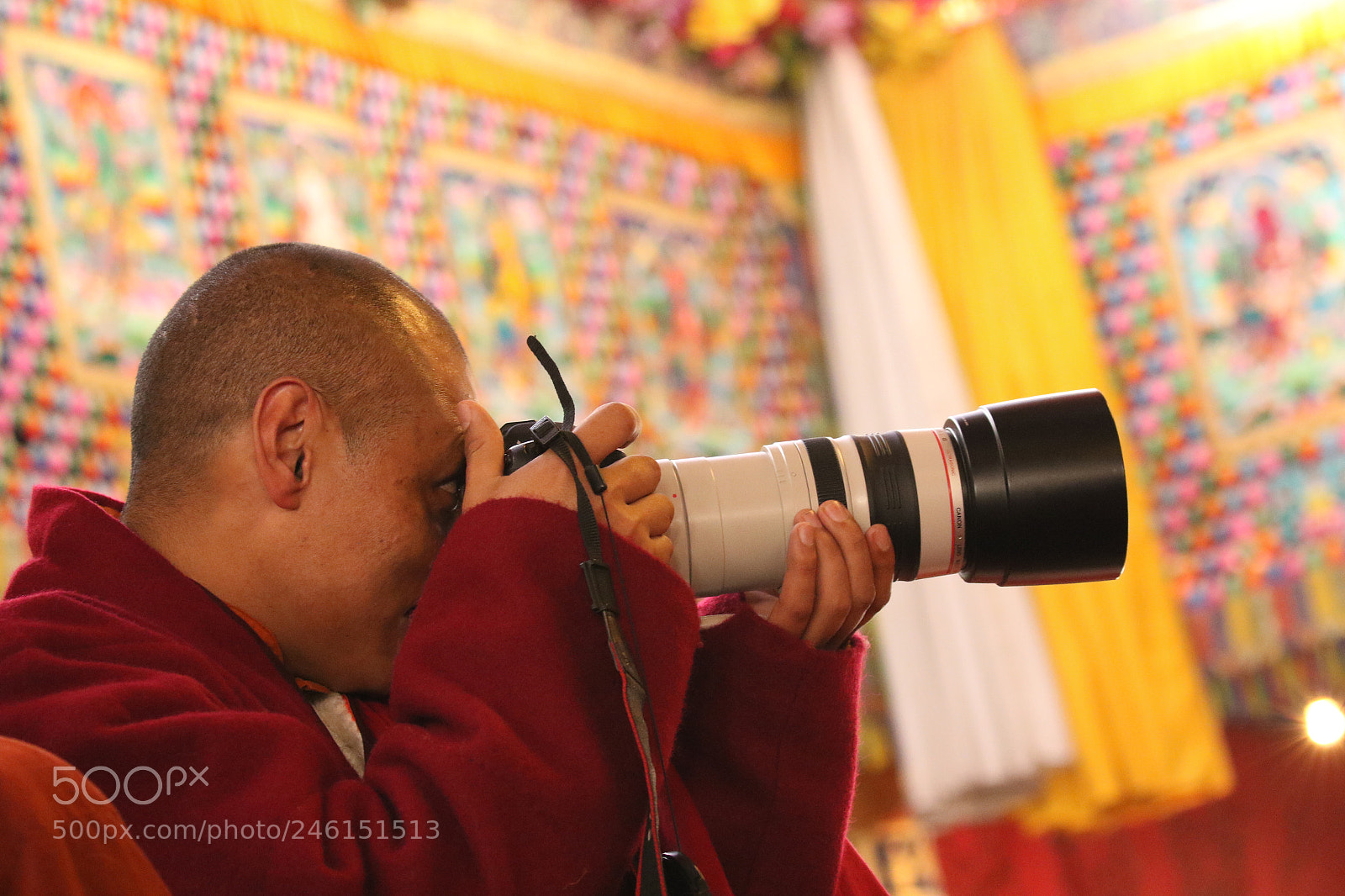 Canon EOS 7D Mark II sample photo. Untitled photography