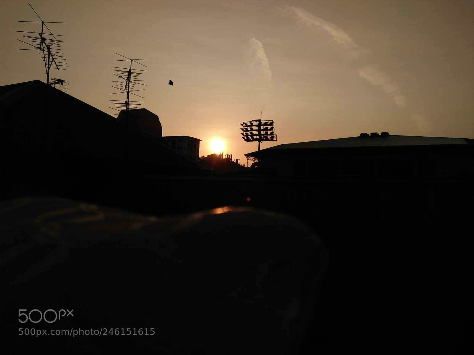 OPPO A37fw-International sample photo. Silhouetted sunset photography