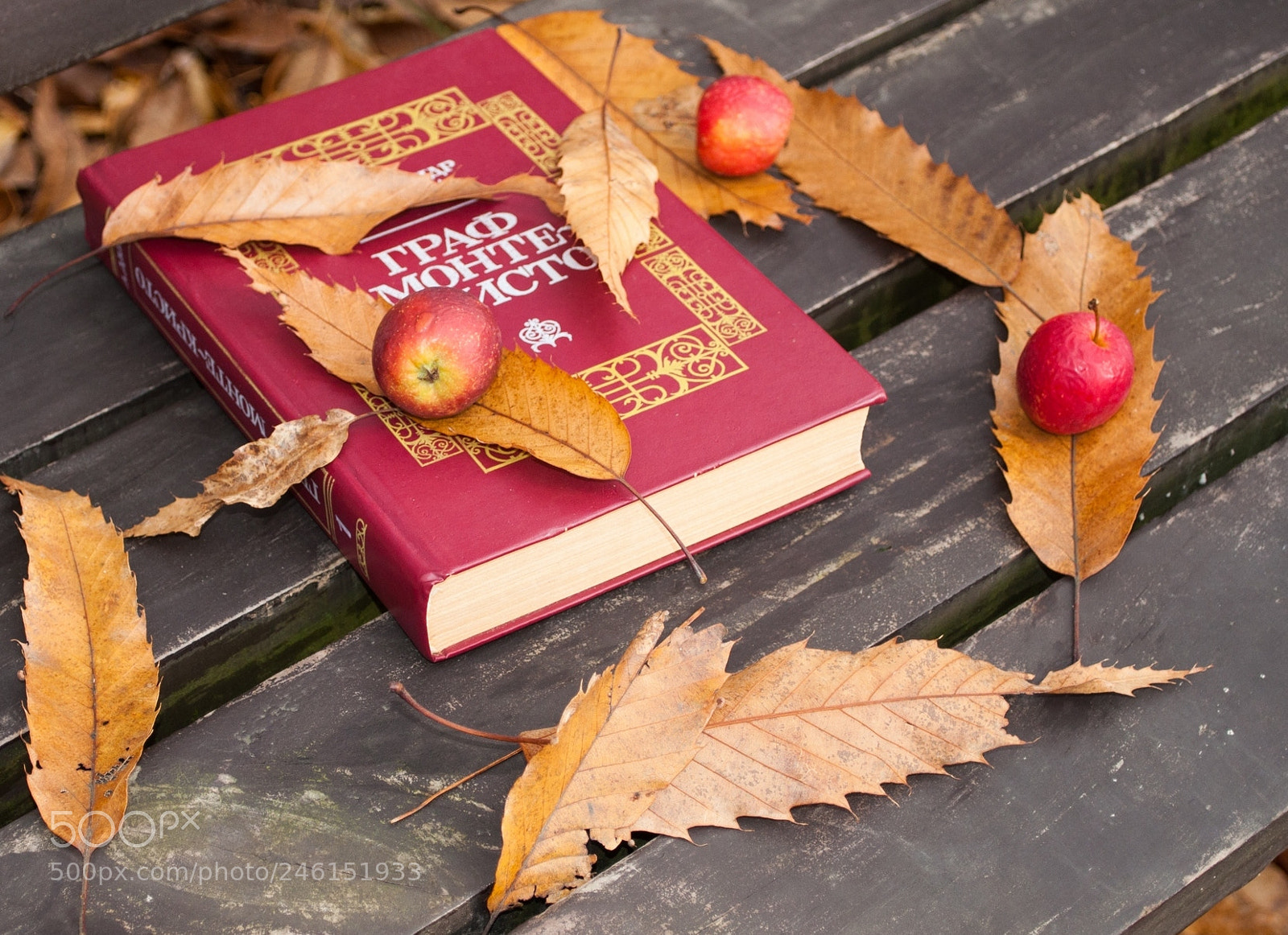 Nikon D5000 sample photo. Colors of autumn photography