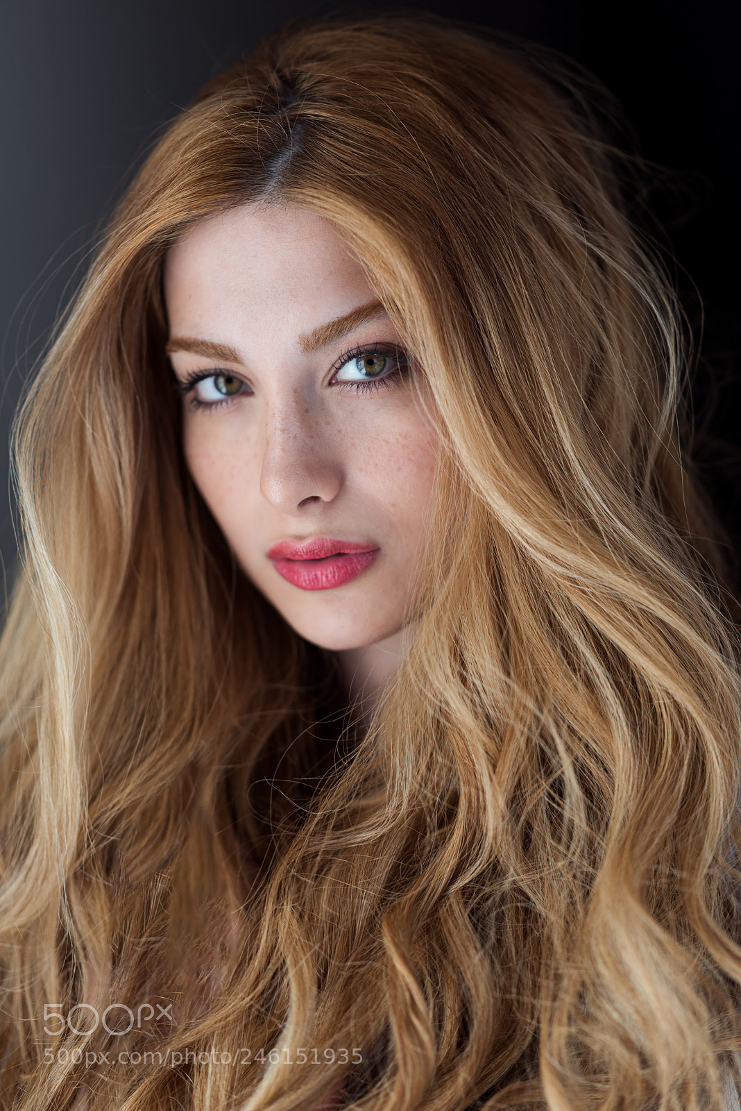 Nikon D810 sample photo. Ava photography