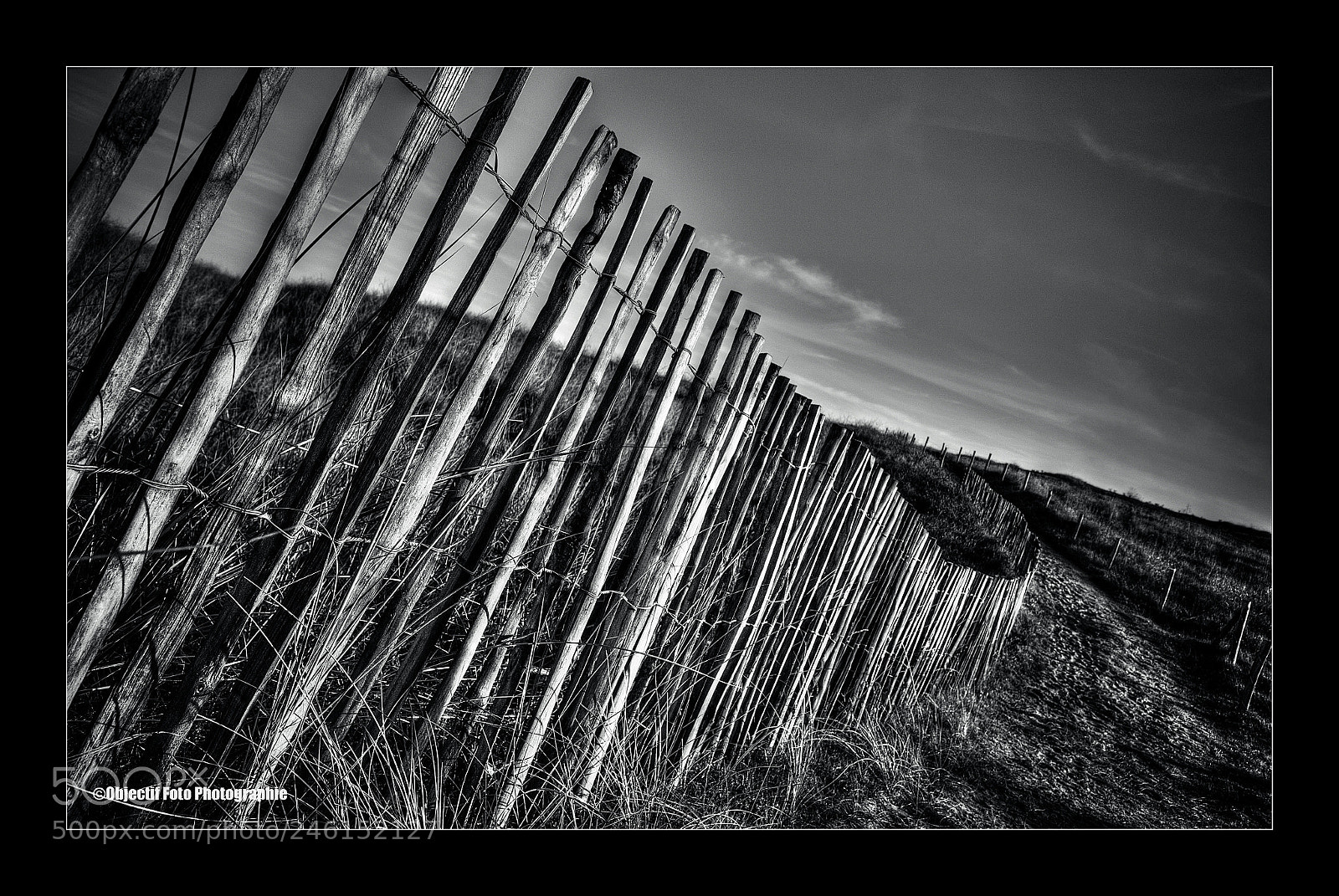Nikon D300 sample photo. Untitled photography
