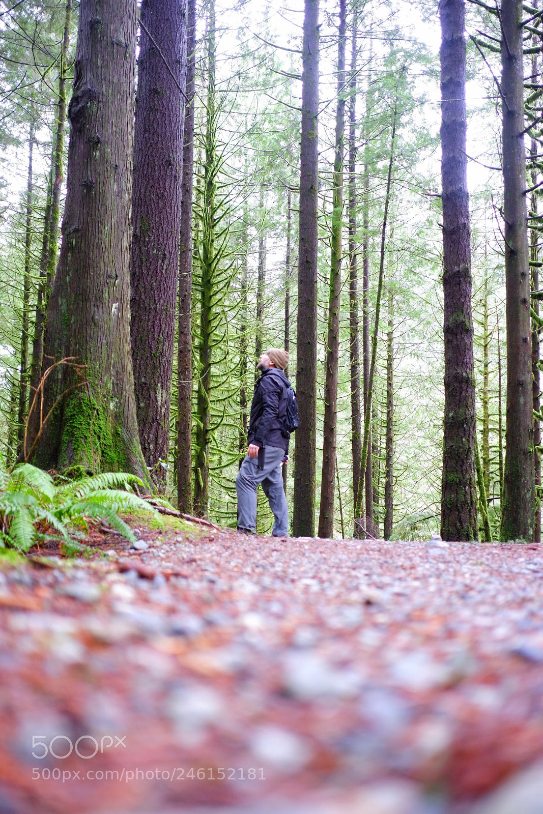 Fujifilm X-A3 sample photo. Solo hike photography