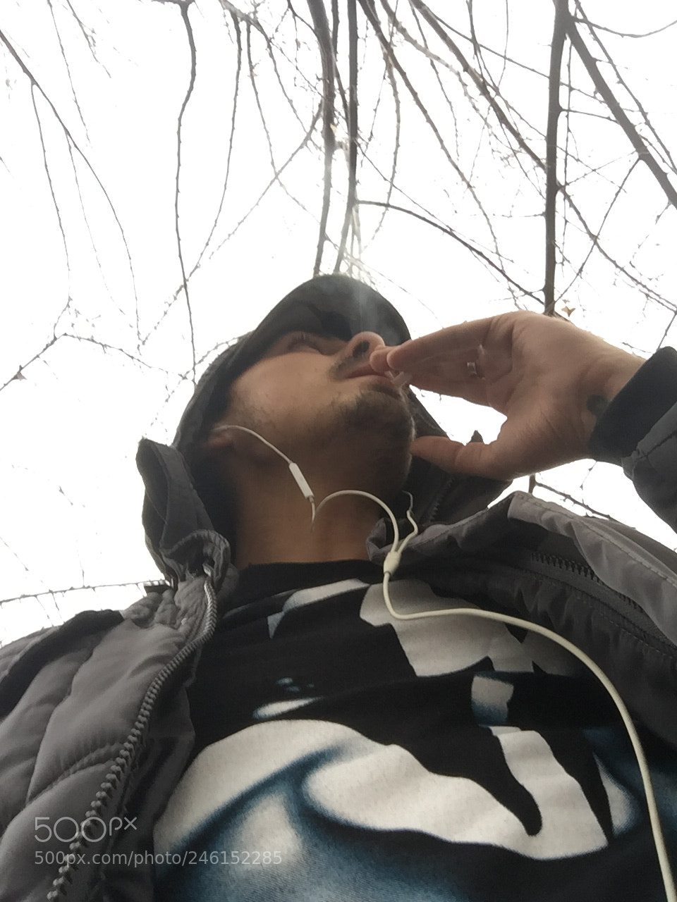 Apple iPhone 6 sample photo. Untitled photography