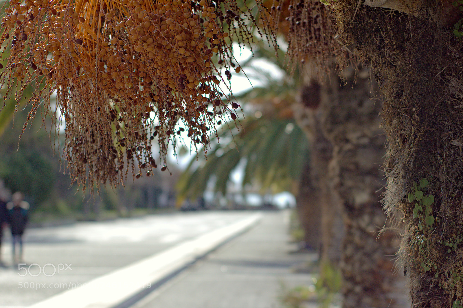 Canon EOS 600D (Rebel EOS T3i / EOS Kiss X5) sample photo. Untitled photography