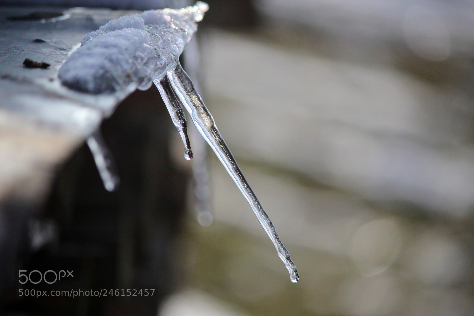 Canon EOS 600D (Rebel EOS T3i / EOS Kiss X5) sample photo. Cold as ice photography