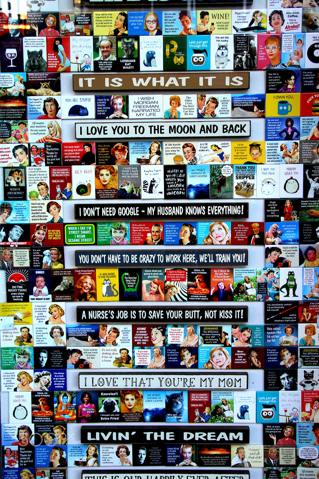 Sigma 18-250mm F3.5-6.3 DC OS HSM sample photo. Wall of magnets photography