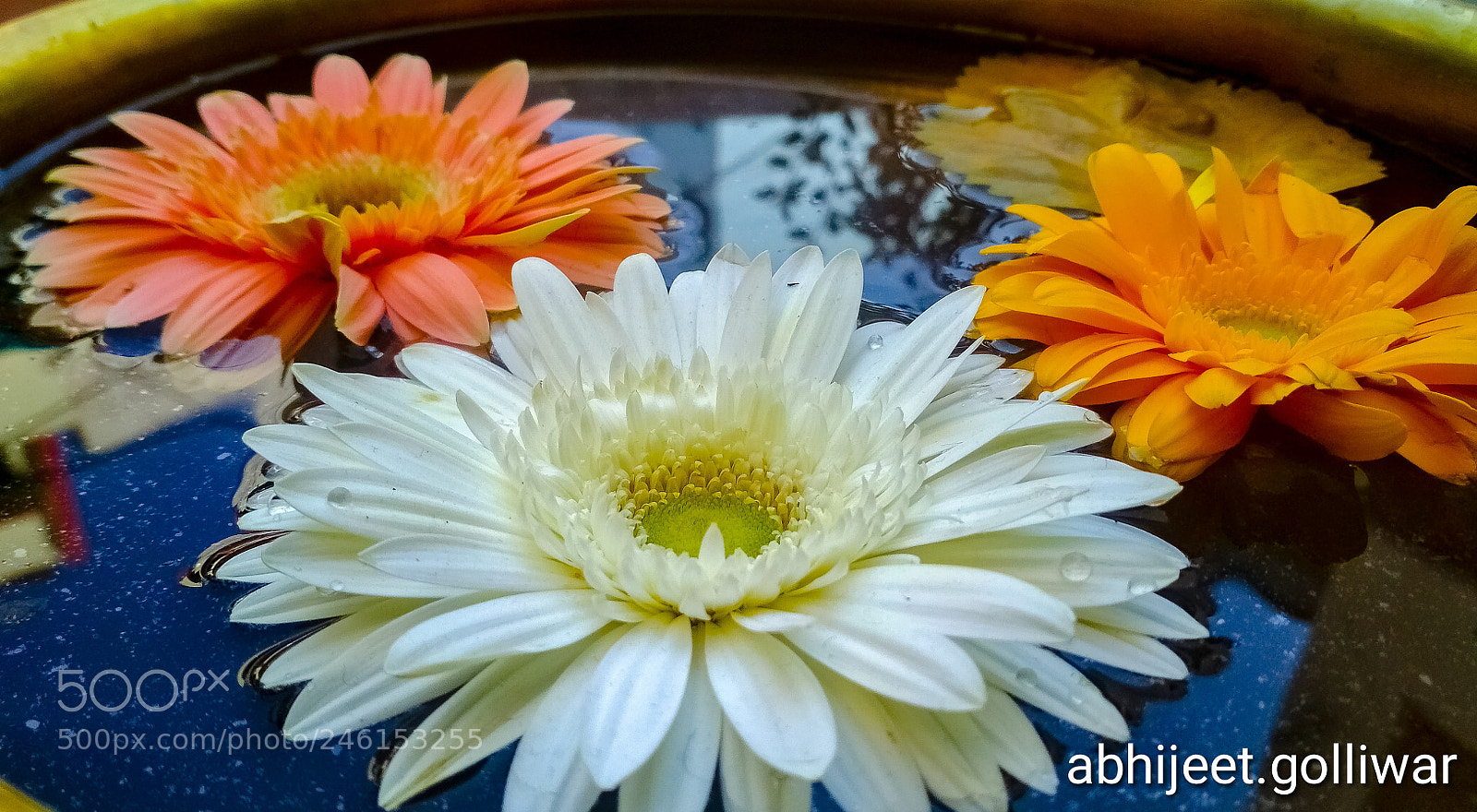 Xiaomi Redmi 4 Pro sample photo. Untitled photography