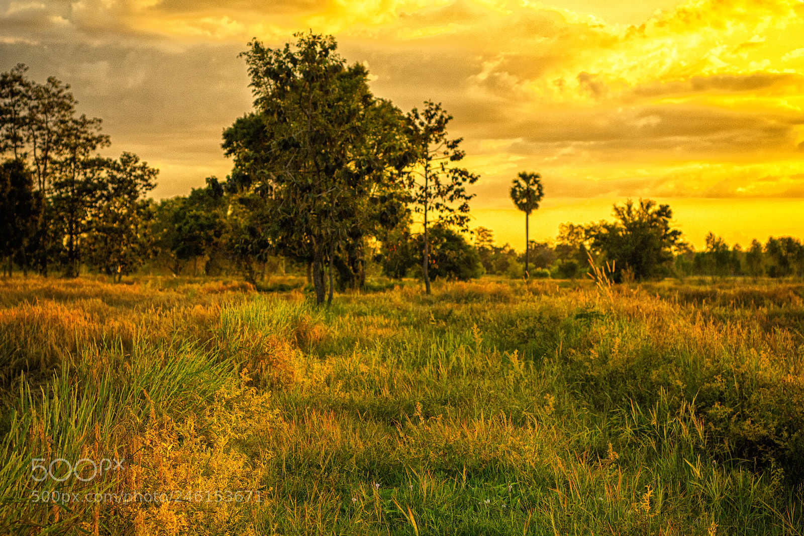 Nikon D3100 sample photo. Land & sunset #2 photography