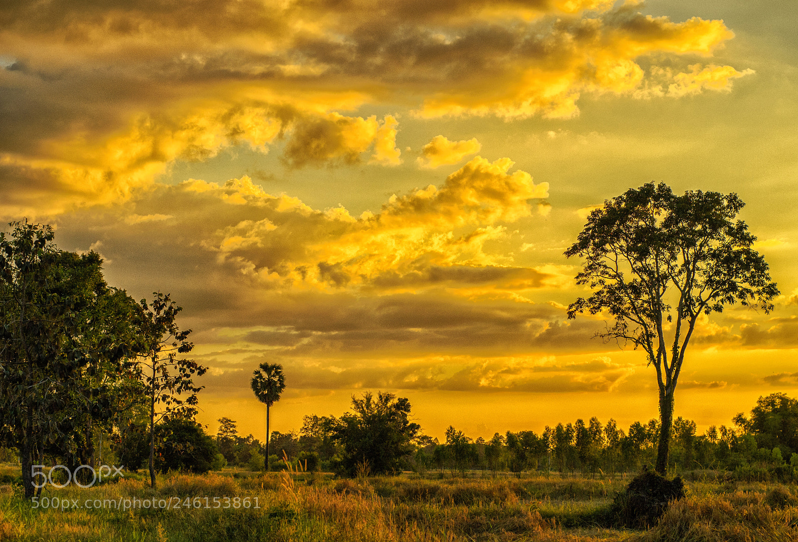 Nikon D3100 sample photo. Land & sunset #3 photography