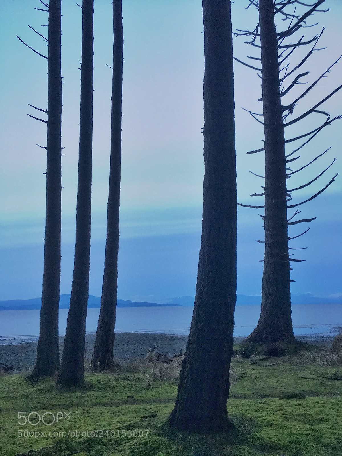 Apple iPhone 6s sample photo. Five friends silhouetted against photography