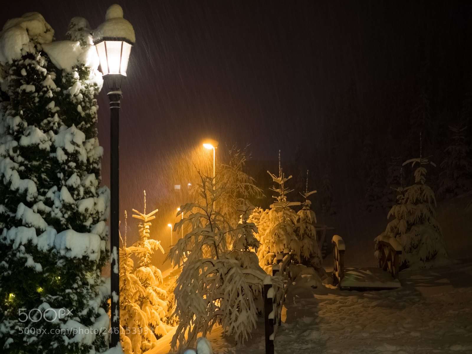 Olympus OM-D E-M10 II sample photo. Snowing photography