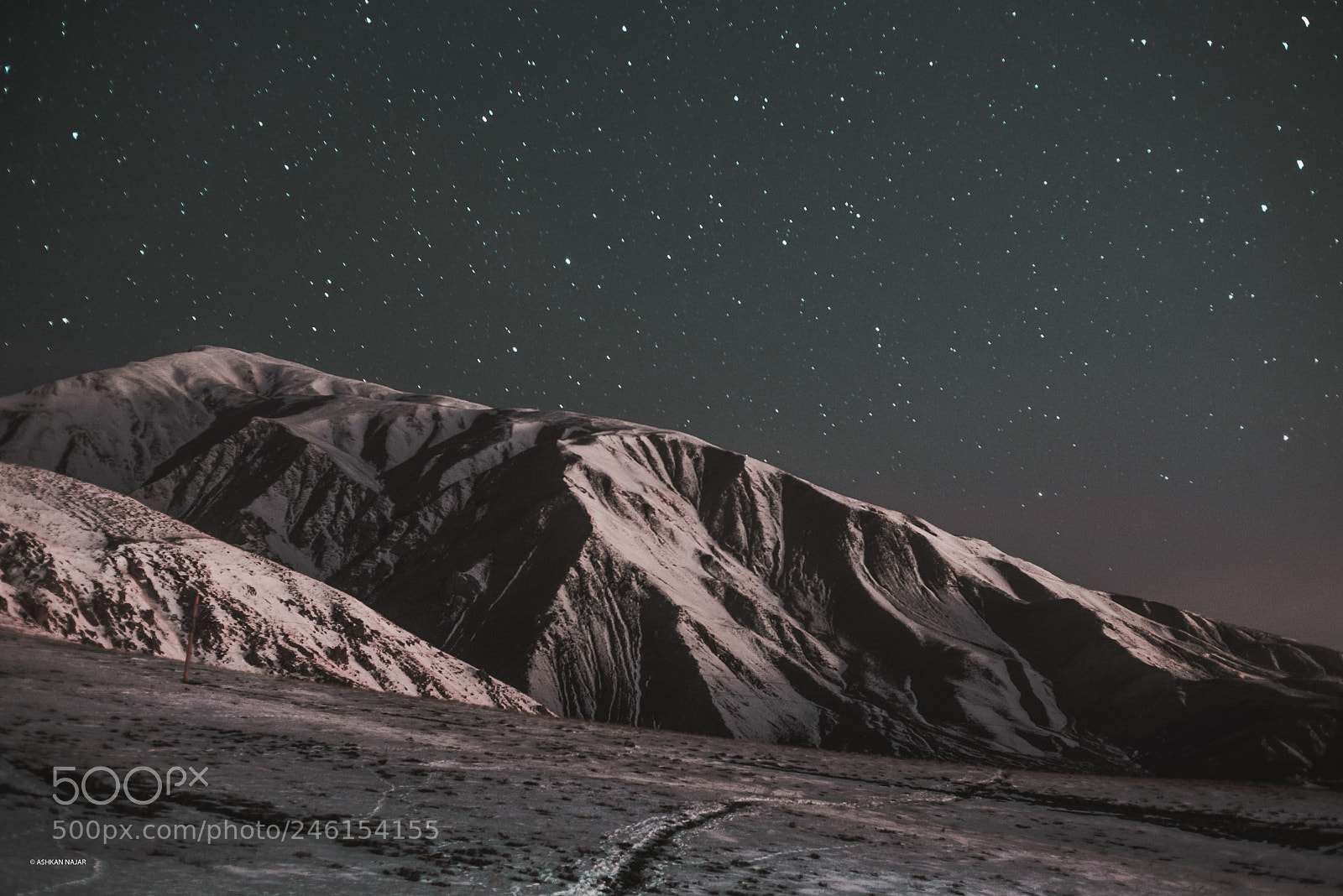 Nikon D610 sample photo. Misho at night photography