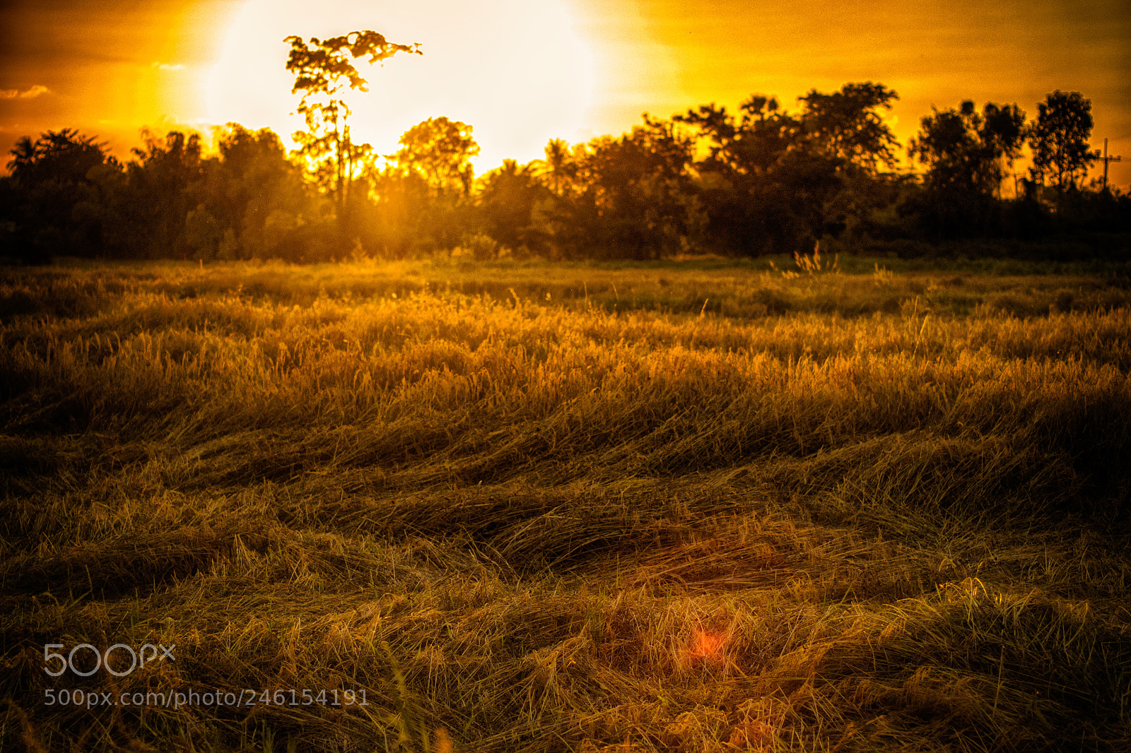 Nikon D3100 sample photo. Land & sunset #4 photography